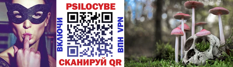 что такое наркотик Ардатов Псилоцибиновые грибы прущие грибы
